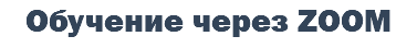 Обучение через ZOOM