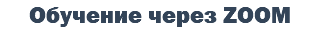 Обучение через ZOOM